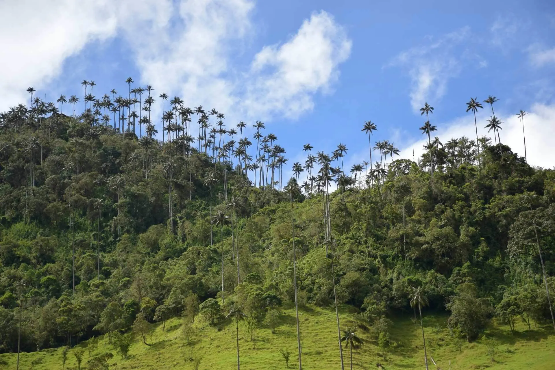 Southern Colombia Guide – Get "Off the Beaten Track"