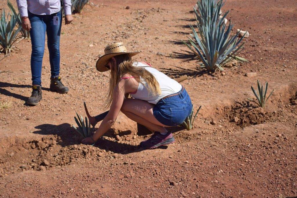 on the Tequila tour in Mexico