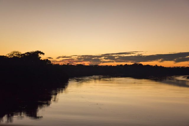 ULTIMATE Guide to Puerto Maldonado, Peru (and the Amazon Jungle!)