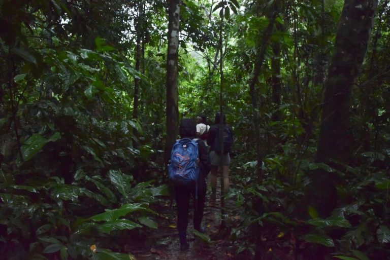 ULTIMATE Guide to Puerto Maldonado, Peru (and the Amazon Jungle!)