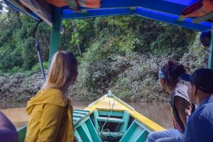 ULTIMATE Guide to Puerto Maldonado, Peru (and the Amazon Jungle!)