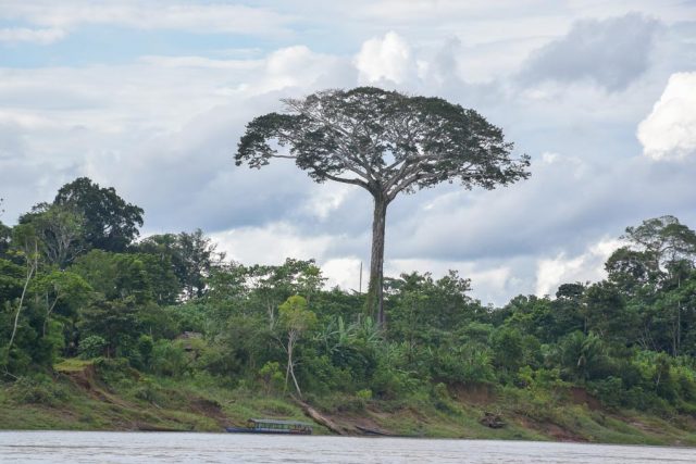 ULTIMATE Guide to Puerto Maldonado, Peru (and the Amazon Jungle!)