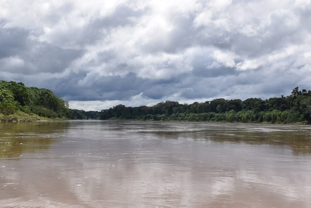 ULTIMATE Guide to Puerto Maldonado, Peru (and the Amazon Jungle!)
