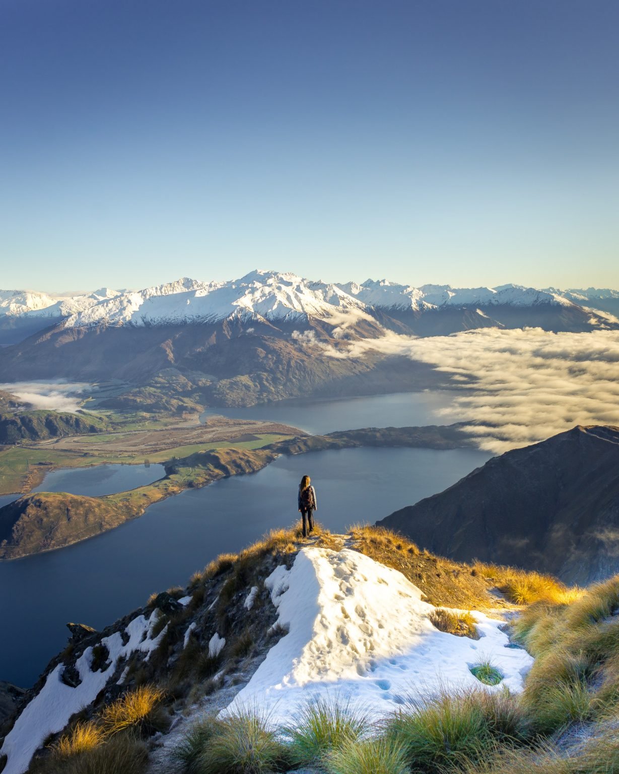 The Truth about the Wanaka Tree What You Need to Know Before Visiting