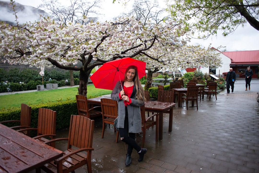 wine tor in queenstown