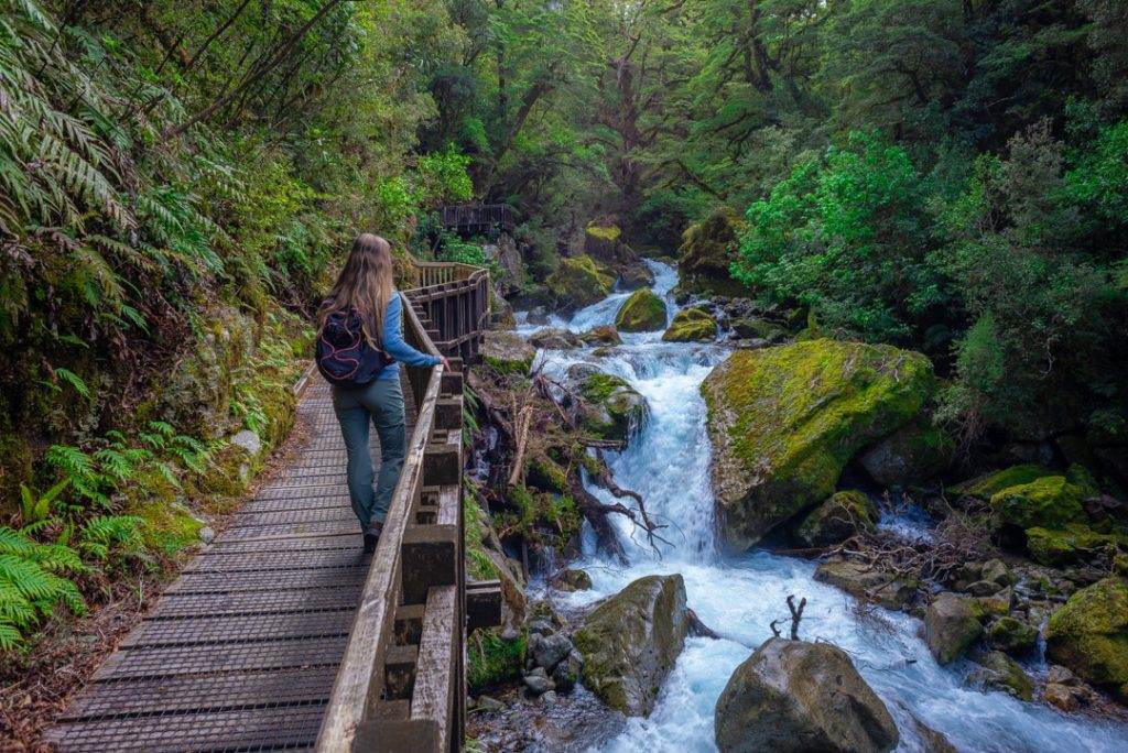 Lake Marian Track A Guide to