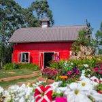 coffee farm in pyin oo lwin