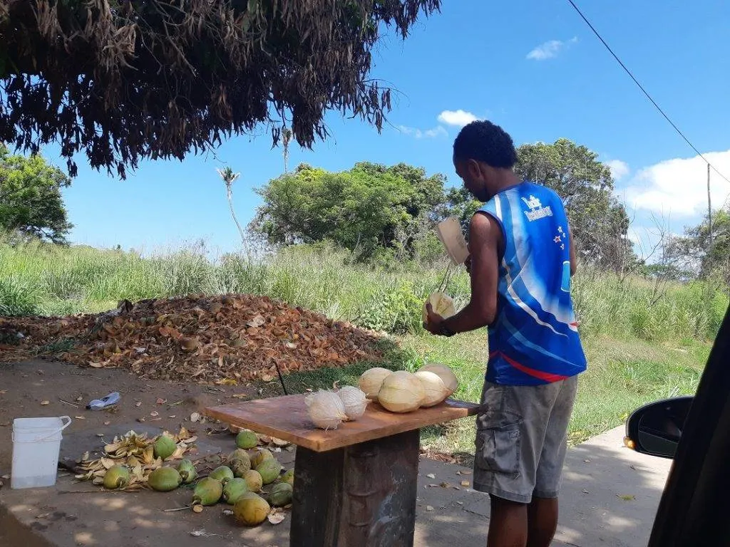 buying fresh coconut water in nadi fiji