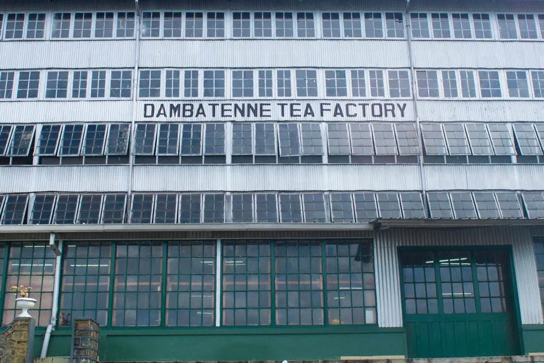 The Dambatenne Tea Factory near  Haputale 