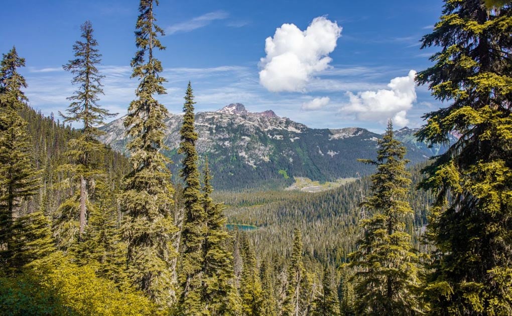 30 EPIC Things to do in Whistler, BC, Canada (all year round!)