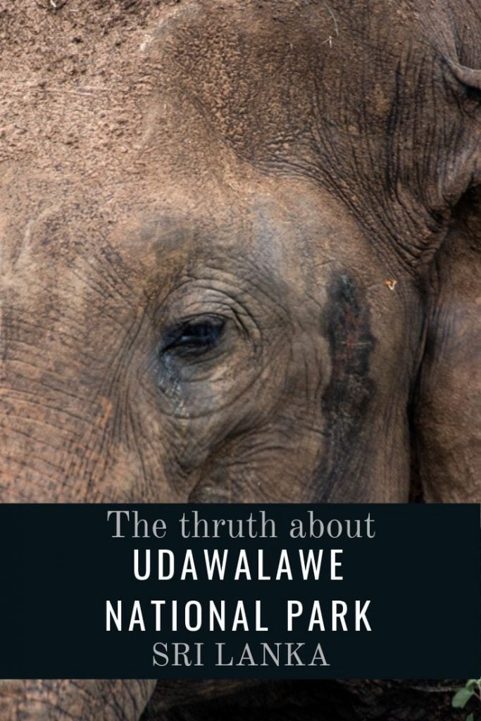 The truth about Udawalawe National Park