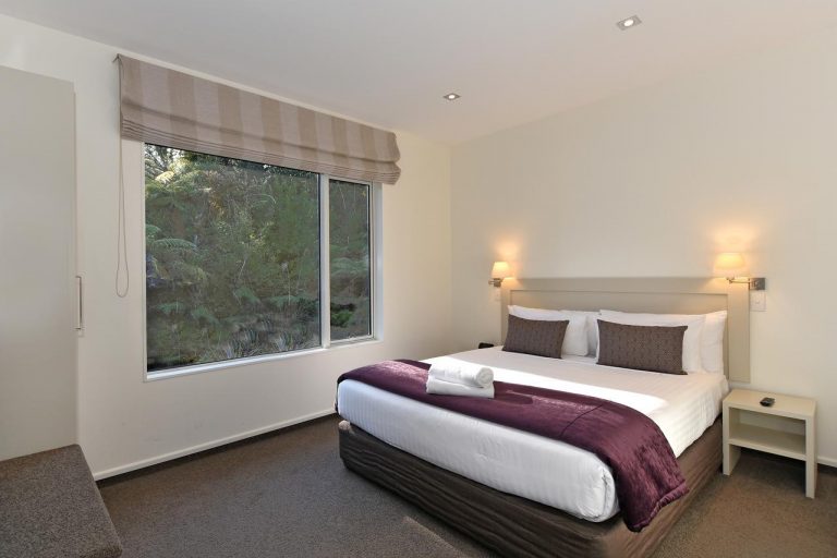 ULTIMATE Guide to the Franz Josef Glacier Walk (New Trail)