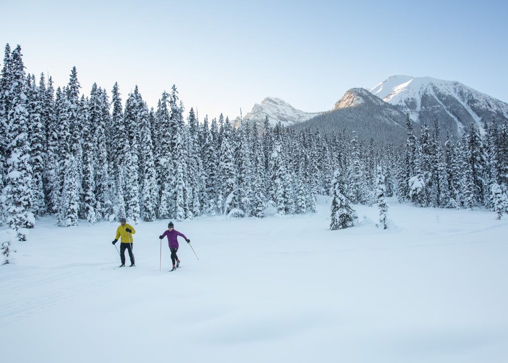 Cross country skiing in Banff National Park