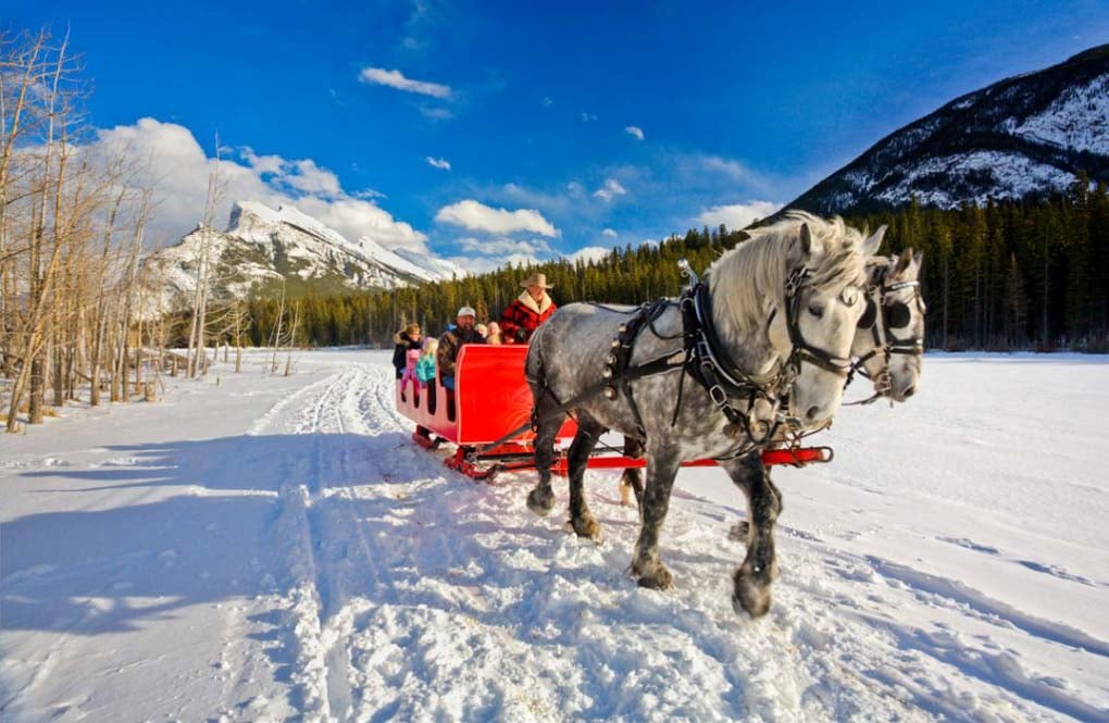 Riding a horse drawn sleig in winter in Banff