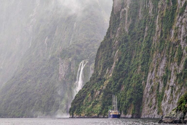 A Milford Sound cruise travels along a steep cliff in Milford Sound