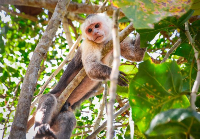 13 Things to KNOW Before Visiting Tayrona National Park in 2026