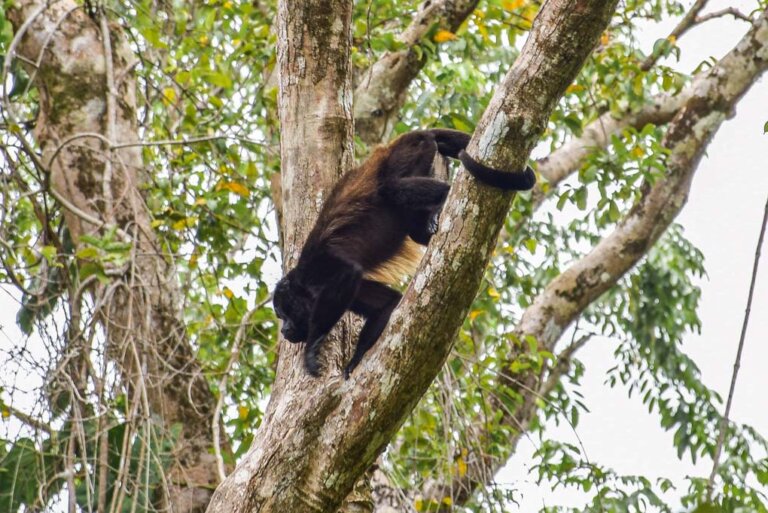 21 BEST Places to Visit in Central America - Destinationless Travel