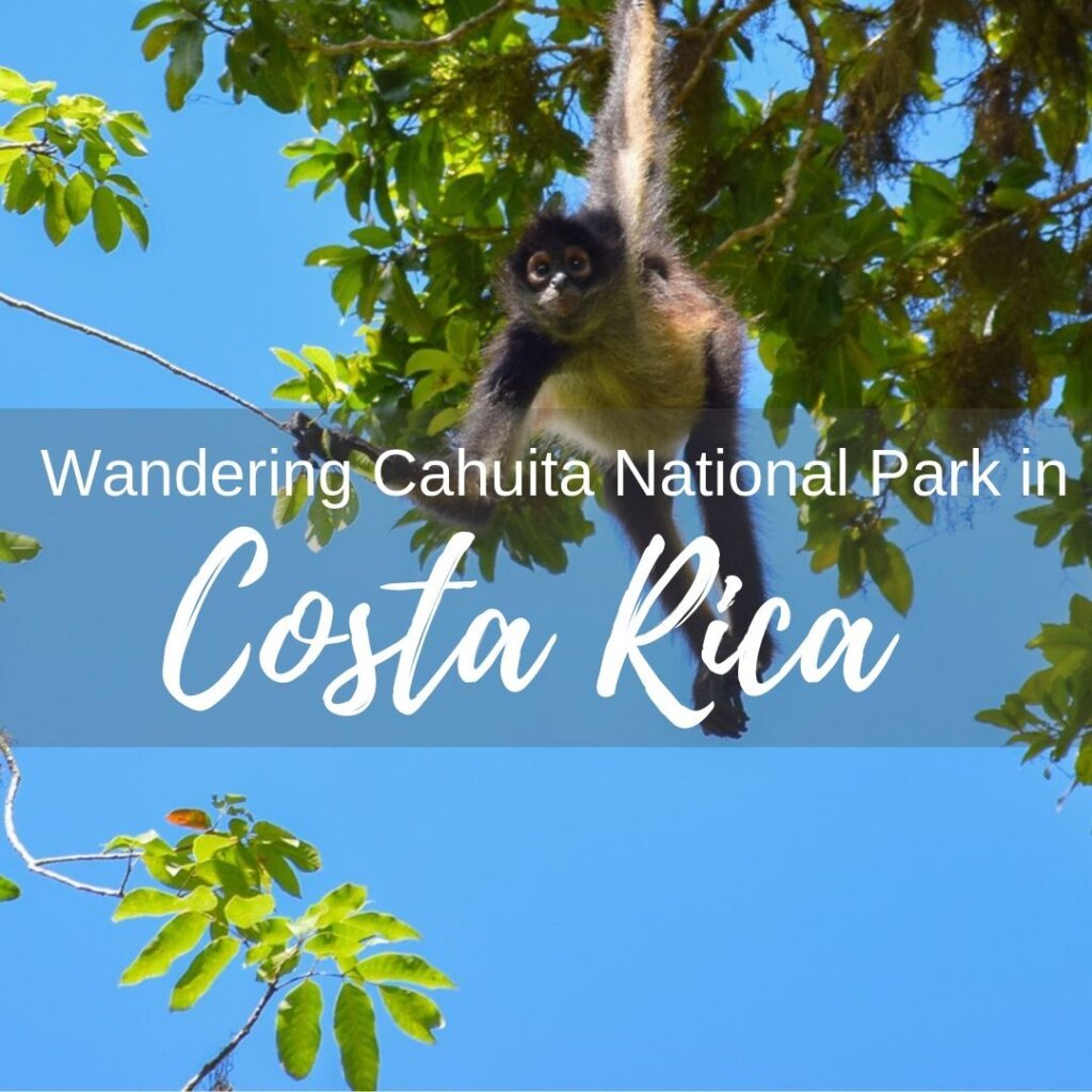 Cahuita National Park