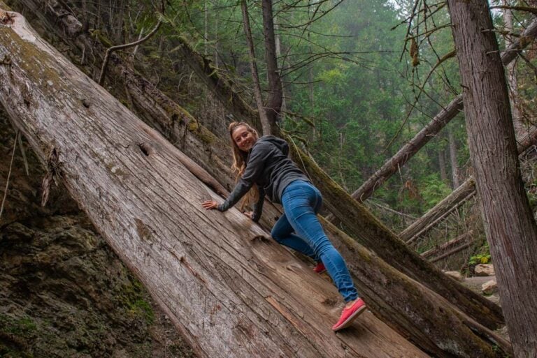 A lady on a tree on the path to Margaret Falls in Harold’s Provincial Park, Salmon Arm