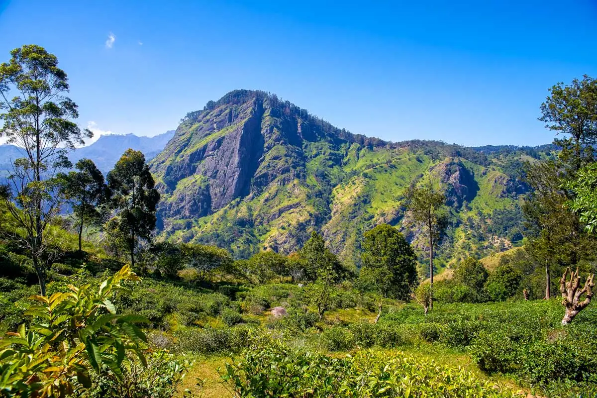 14 Best Things to do in Haputale, Sri Lanka