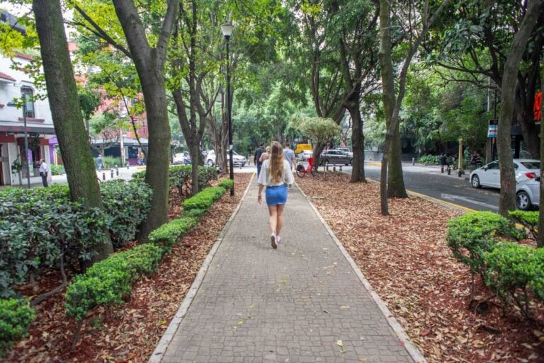 Bailey walks around Mexico City alone