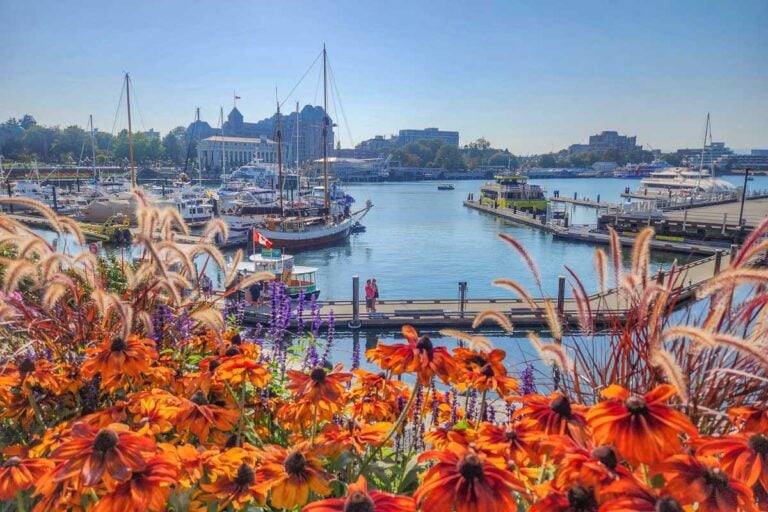 Flowers and Victoria harbor on Vancouver Island, BC