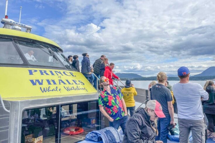 10 Things to KNOW about Whale Watching in Vancouver +the BEST Tours