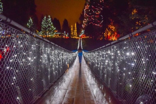 20 Absolute BEST Things to do in Vancouver at Night - Destinationless
