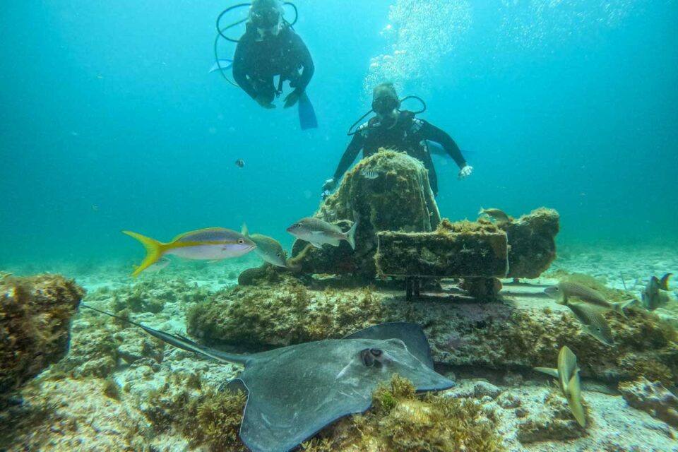 12 Things to KNOW Before Going Scuba Diving in Playa del Carmen