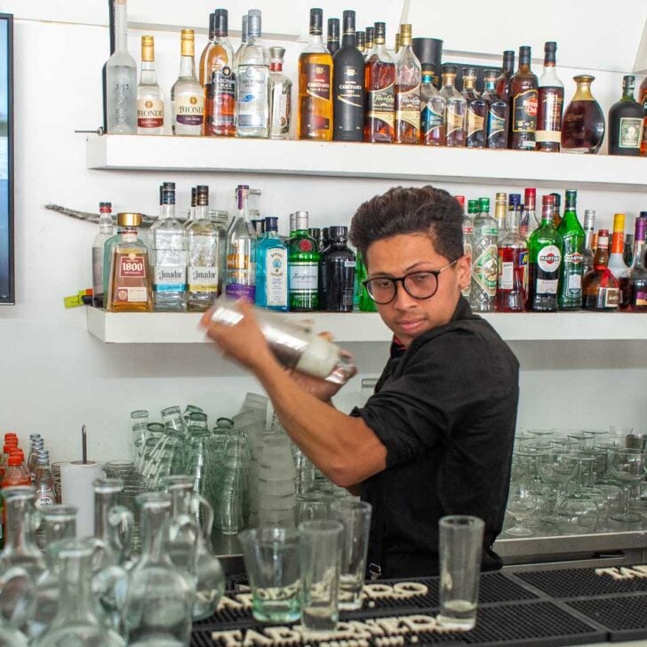 A bar tender shakes up a pisco sour in Lima Peru on a food tour