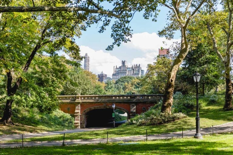 Central Park seen on a sunny day in New York City United States