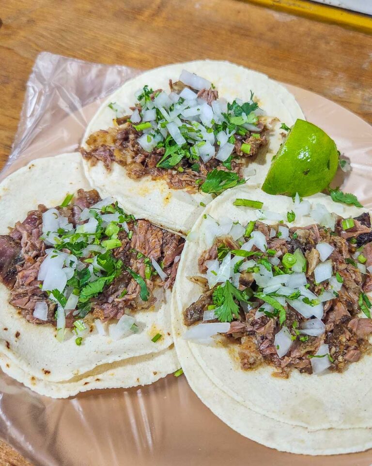 5 BEST Playa del Carmen Food Tours +Tips BEFORE You Book!