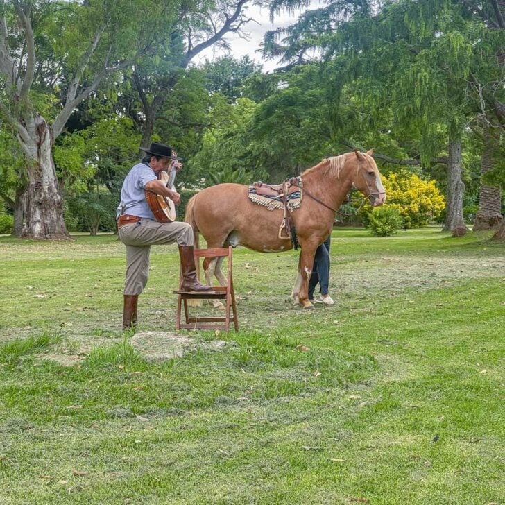 Gaucho demonstration with a horse