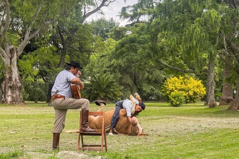 Gaucho plays music to a horse while it performs on a tour
