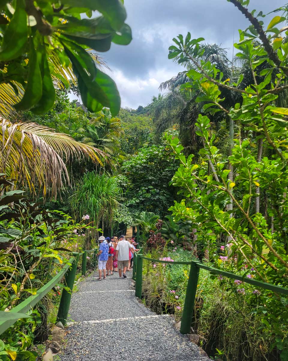 A stone path leading through the jungle at the garden of the sleeping giant fiji