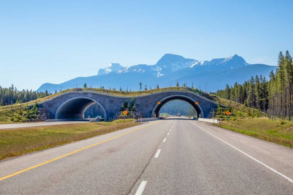 The BEST and Most Flexible Shuttle from Banff to Lake Louise