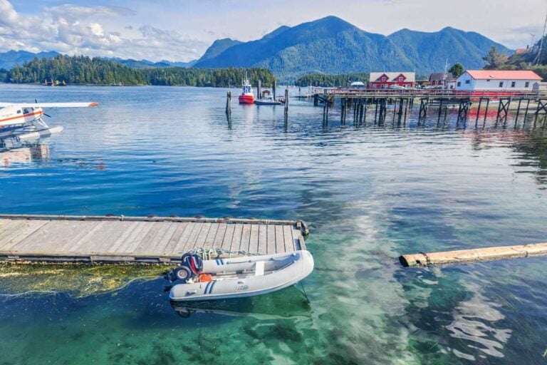 The BEST Tours to Tofino from Vancouver