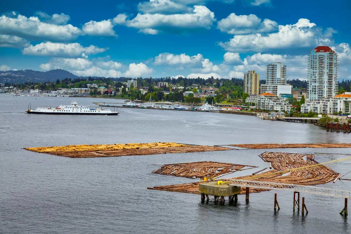 Logs in Harbor of Nanaimo BC Canada on a road trip from Vancouver BC Canada