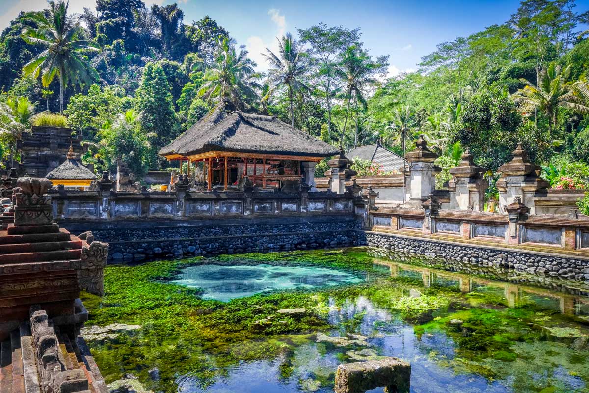 12 Best Tours in Ubud that Made us Fall in Love with Bali!