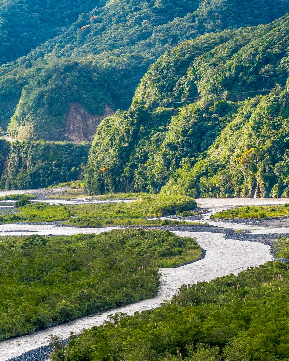 Part of the Puyo Amazon Jungle near Banos Ecuador