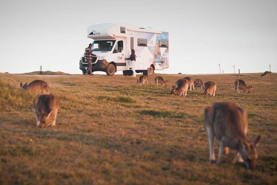 Complete Guide to Renting a Campervan in Australia - Destinationless Travel