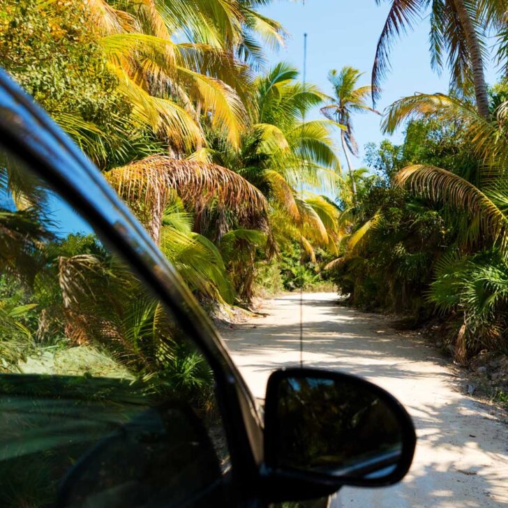 Driving through the jungle in the Sian Kaan reserve, Mexico