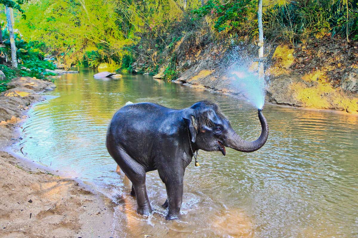 10 BEST Things to do in Chiang Mai, Thailand