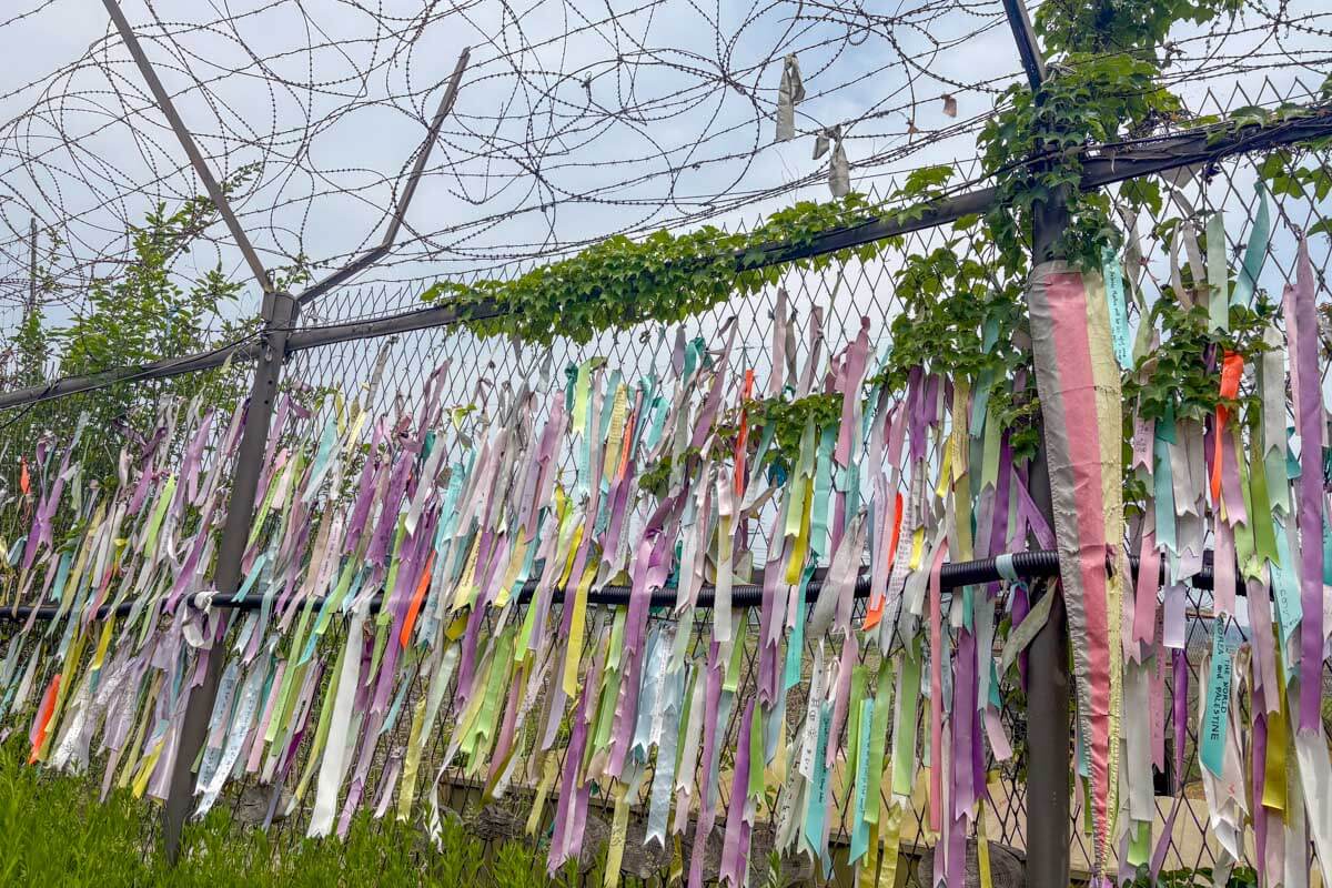 A barbed wire fence at the DMZ with ribbons on it on a tour from Seoul, South Korea (2)