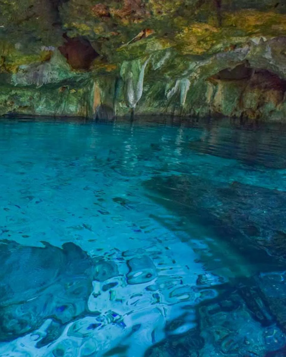A cenote seen on a tour from Merida Mexico 2