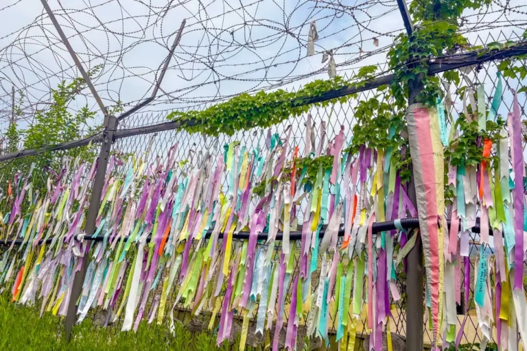 Barbed wire fence and prayer ribbons at the Peace Park on a DMZ tour from Seoul, South Korea