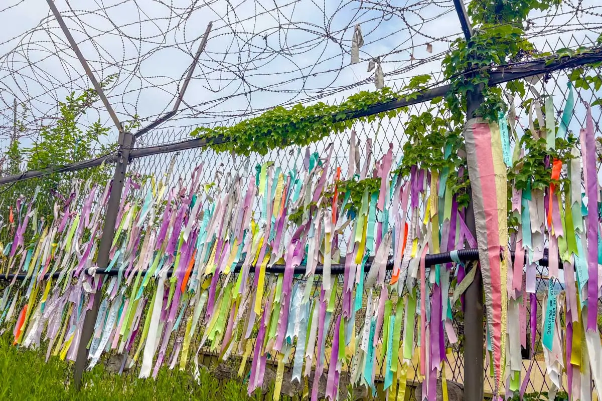 Barbed wire fence and prayer ribbons at the Peace Park on a DMZ tour from Seoul, South Korea