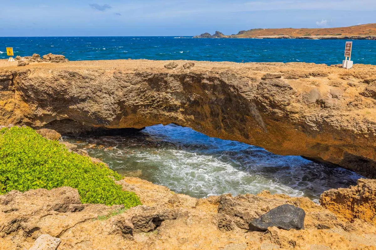 10 Fun & Exciting Things To Do In Aruba