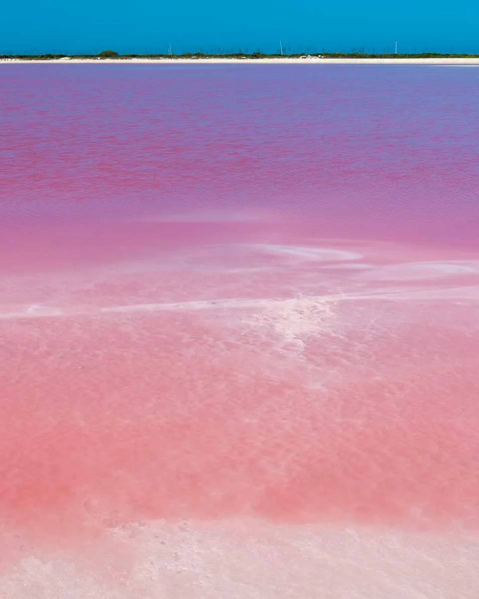 las coloradas pink lagoon seen on a tour from Merida Mexico