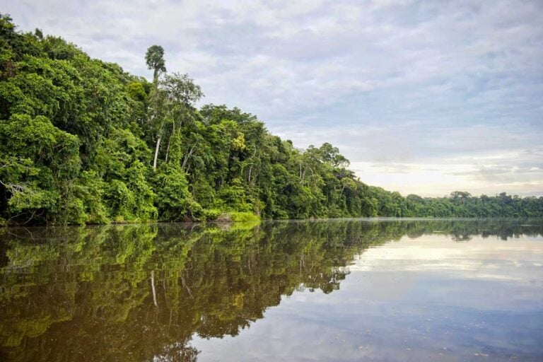 A river in the Amazon near Puerto Maldonado Peru